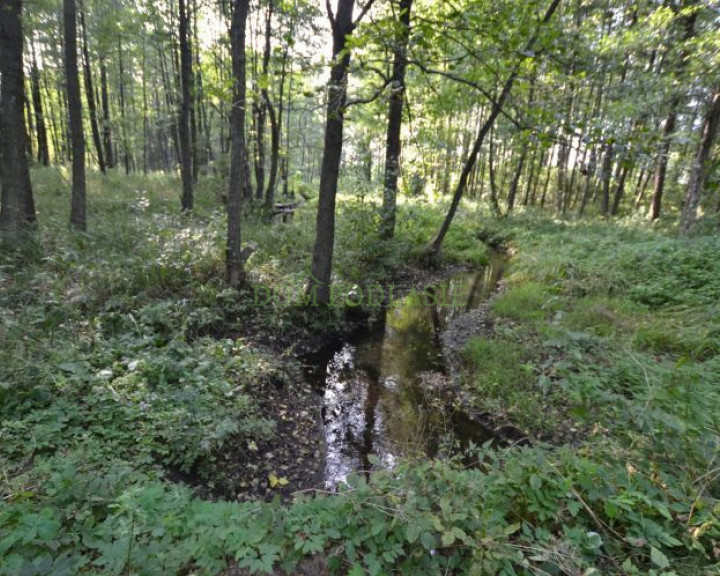 Działka Sprzedaż Nowy Ostrów